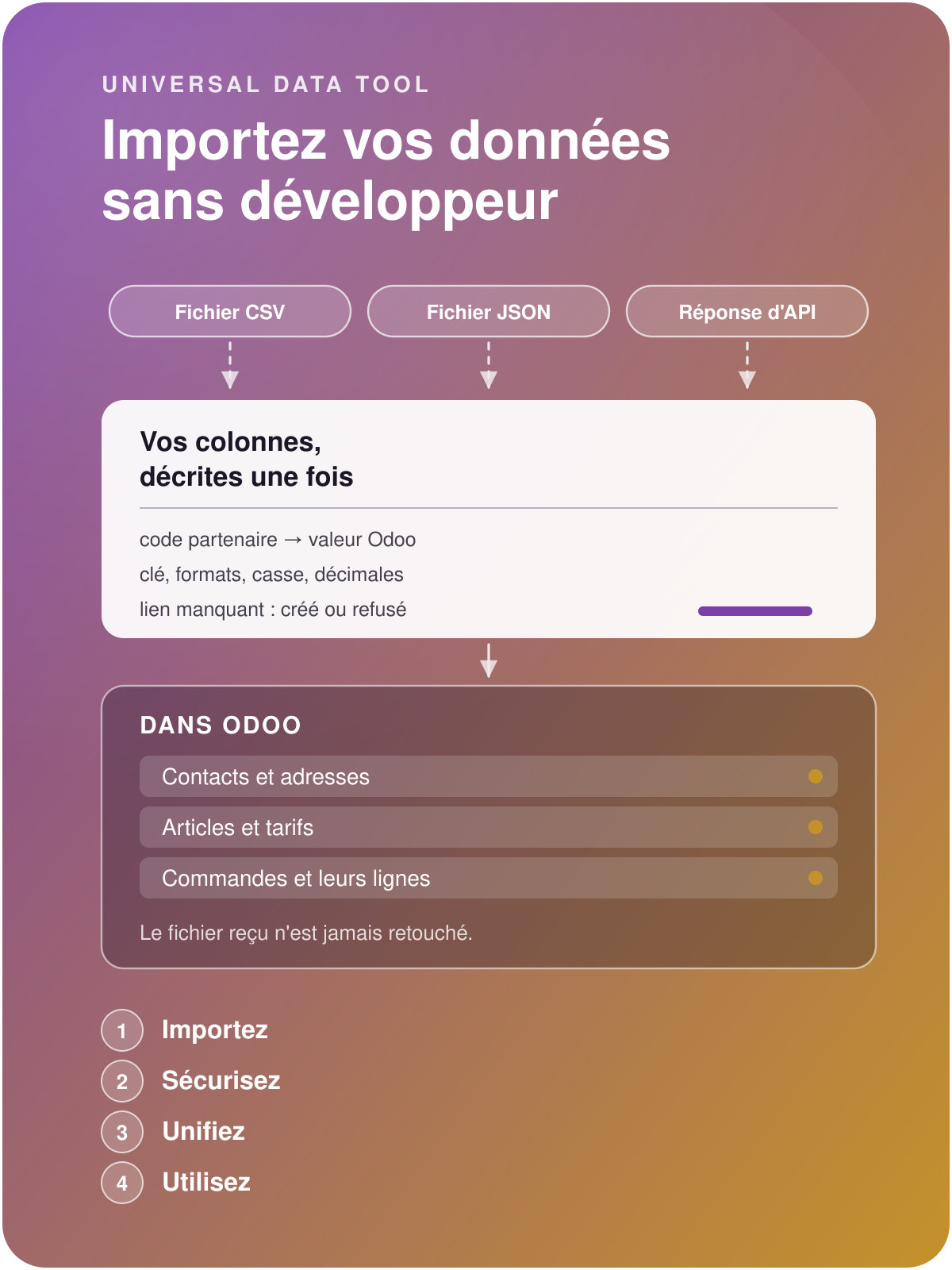 Universal Data Tool : un fichier CSV, un fichier Excel et un fichier JSON entrent, les colonnes sont décrites une fois : codes traduits, clé sur plusieurs colonnes, une erreur ne rejette que sa ligne, création ou mise à jour, et toute classe d'objet Odoo peut être visée en sortie : paramètres, référentiels, tiers, articles, transactions avec leurs lignes, sans que la source soit retouchée