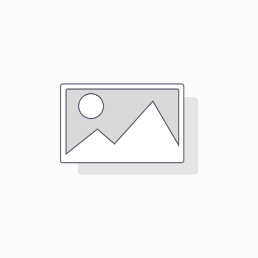 Prestation au temps passé Lead Developer (Heures)